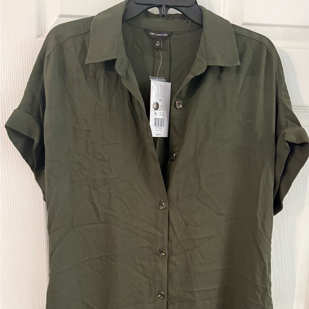 Olive Green Shirt Dress
The Limited